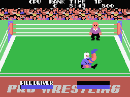 Champion Pro Wrestling Screenshot
